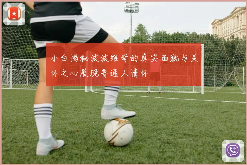 小白揭秘波波维奇的真实面貌与关怀之心展现普通人情怀